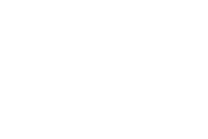 Adris grupa